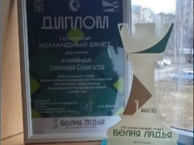Региональный этап Всероссийских соревнований по шахматам Белая Ладья.
